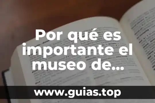 Por que es importante para farmacias Guadajara el logotipo 8 Por qué es importante el museo de antropología