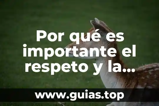 Preguntas por que es importante la convivencia 5 Por qué es importante el respeto y la tolerancia