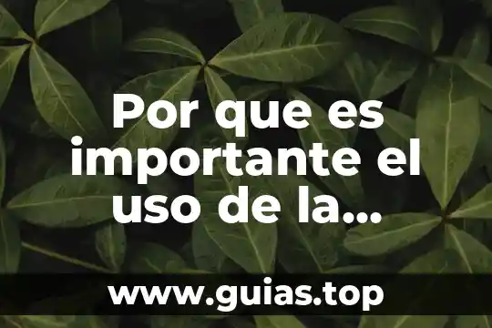 Por que es importante el dinero 6 Por que es importante el uso de la aritmetica