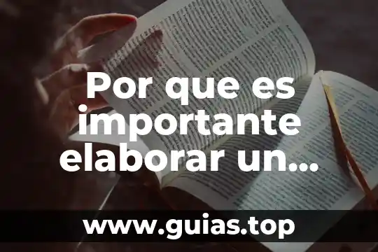 Que es asentamiento tipos 7 Por que es importante elaborar un modelo de negocio