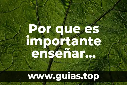 Por que es importante hacer un examen de reflejos osteotendinosos 3 Por que es importante enseñar competencias en la escuela primaria