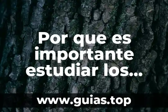 Que es el empirismo importante para la psicologia 8 Por que es importante estudiar los territorios en geografia