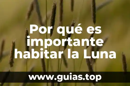 Por que es importante el zenon en la tierra 6 Por qué es importante habitar la Luna