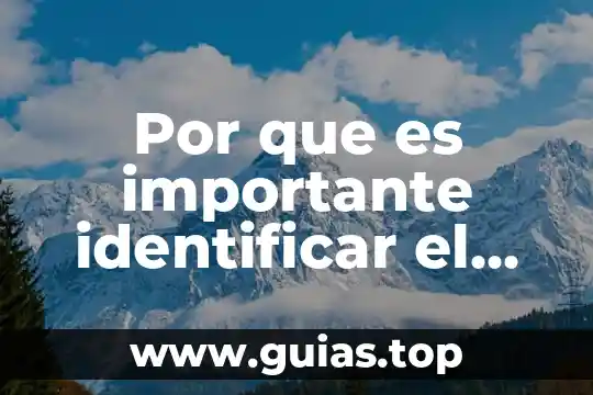 Que es el calentamiento corporal ritmo y porque es importante 5 Por que es importante identificar el color del suelo