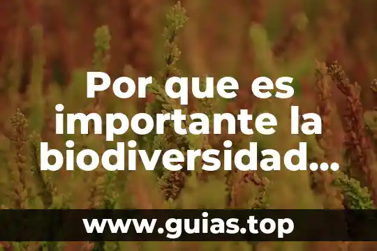 Qué es la biodiversidad concepto general 3 Por que es importante la biodiversidad para el ser humano