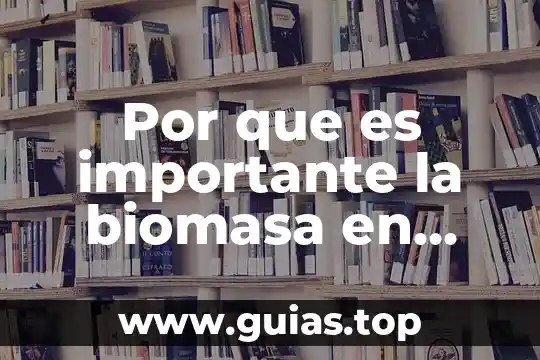Por que es importante el dinero 3 Por que es importante la biomasa en suecia