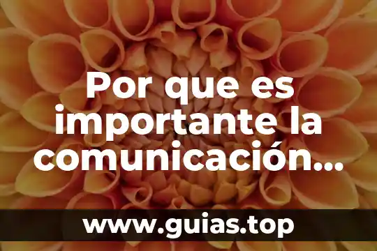 Que es ser catalizador en una empresa 6 Por que es importante la comunicación de una empresa