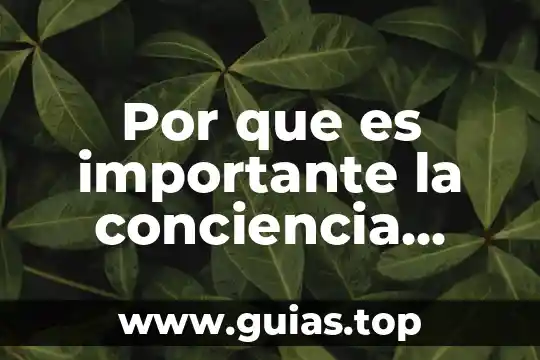 Por que es importante ser cursi 8 Por que es importante la conciencia ambiental