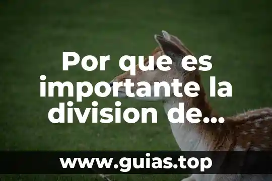 Que es la parte de la division 8 Por que es importante la division de poderesyahoo