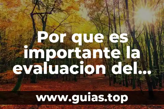 Por que es importante el dinero 8 Por que es importante la evaluacion del alumno