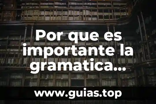 Por que es importante la gramatica general