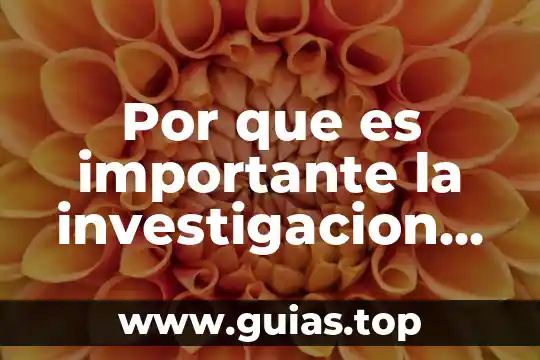 Por que es importante ser autonomo 3 Por que es importante la investigacion ensayo