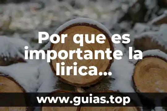 Por que es importante para farmacias Guadajara el logotipo 7 Por que es importante la lirica tradicional mexicana