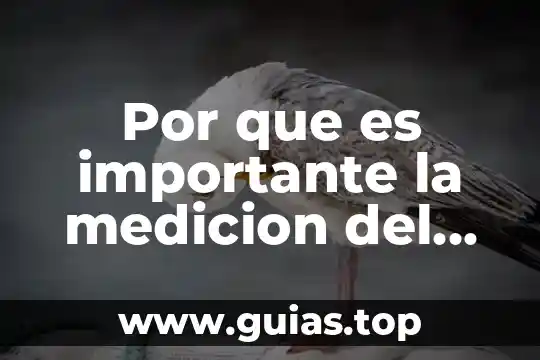 Por que es importante la medicion del fondo uterino