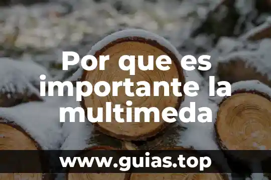 Preguntas por que es importante la convivencia 4 Por que es importante la multimeda