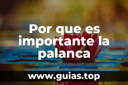 Preguntas por que es importante la convivencia 7 Por que es importante la palanca