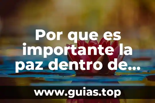 Que es la paz con justicia social 3 Por que es importante la paz dentro de toda sociedad