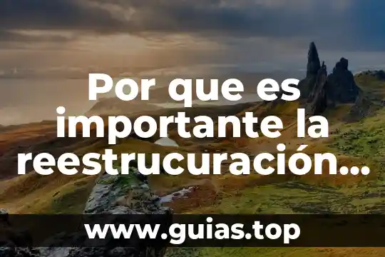 Por que es importante ser cursi 7 Por que es importante la reestrucuración curricular