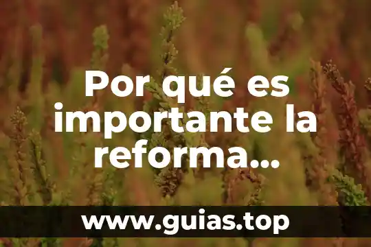 Que es la biocuantica energetica aplicada 7 Por qué es importante la reforma energética de México