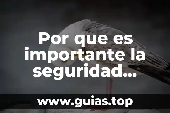 Por que es importante la seguridad social en un trabajo