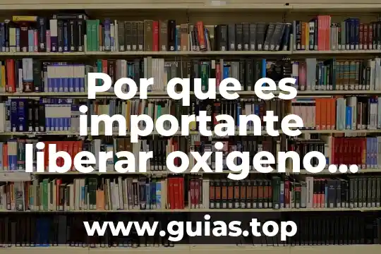 Que es importante de ser padre y madre 4 Por que es importante liberar oxigeno de la botella