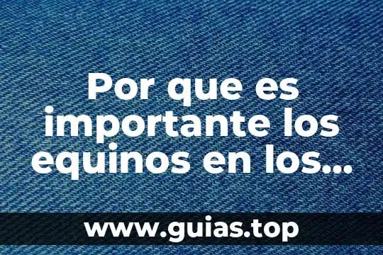 Que es la vigencia de los derechos humanos 4 Por que es importante los equinos en los seres humanos