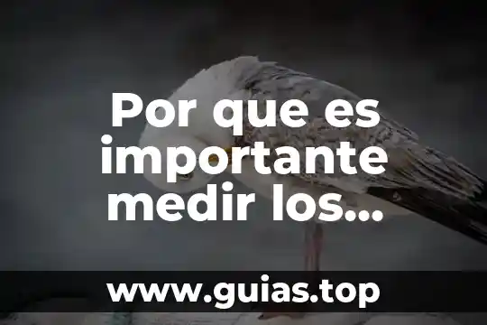 Que es la lectura y para que es importante 3 Por que es importante medir los incidentes