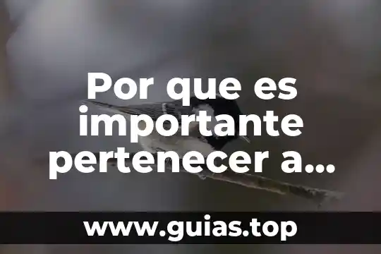 Por que es importante el culto a la verdad 4 Por que es importante pertenecer a un grupo