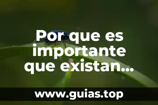 Médico internista en México que es 7 Por que es importante que existan servicio medico