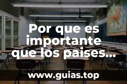 Qué es un paises totalmente desarrollados 5 Por que es importante que los paises utilicen el si