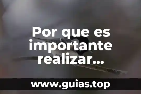 Por que es importante identificar el color del suelo 6 Por que es importante realizar ejercicio libros