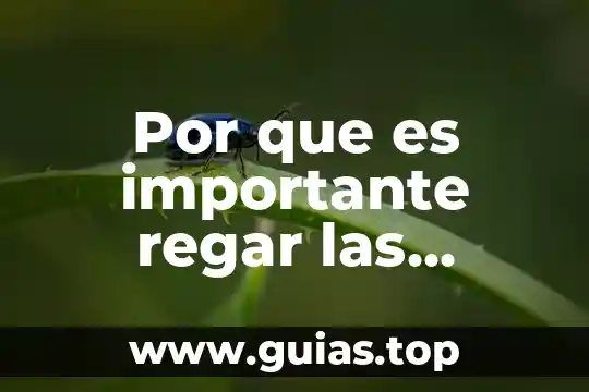 Que es el empirismo importante para la psicologia 3 Por que es importante regar las plantas