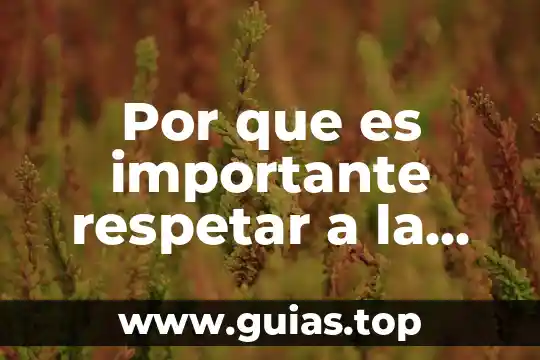 Por que es importante identificar el color del suelo 8 Por que es importante respetar a la tierra