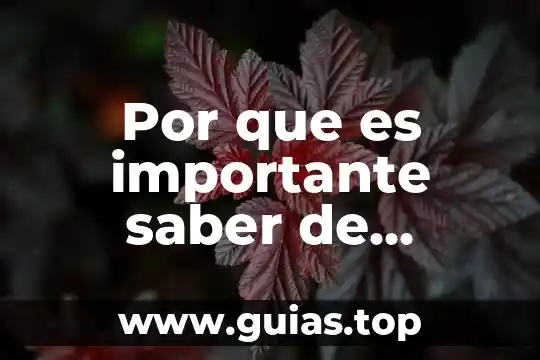 Que es nuestro fuego interno 5 Por que es importante saber de nuestro historia