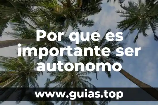 Por que es importante un perfil de egreso universitario 4 Por que es importante ser autonomo
