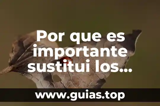 Que es un marco en una circunferencia 6 Por que es importante sustitui los poligonos por circunferencia