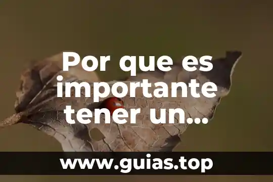 Por qué es importante la equidad para tener justicia 5 Por que es importante tener un antimalware