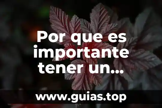 Por que es importante tener un economizador de agua
