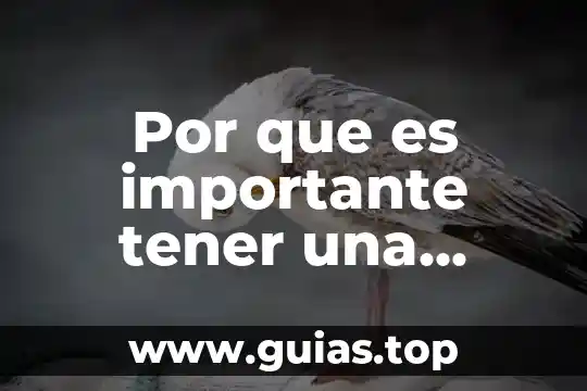 Que es un anaque l y tipos de anaqueles 5 Por que es importante tener una buena dieta