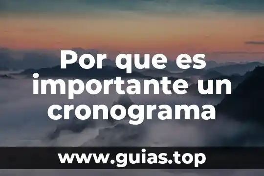 Por que es importante identificar el color del suelo 5 Por que es importante un cronograma