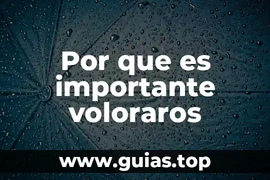Por que es importante identificar el color del suelo 4 Por que es importante voloraros