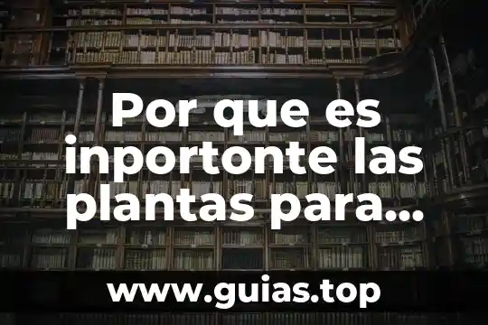 Para que es importante la agua a los seres vivos 8 Por que es inportonte las plantas para los seres vivos