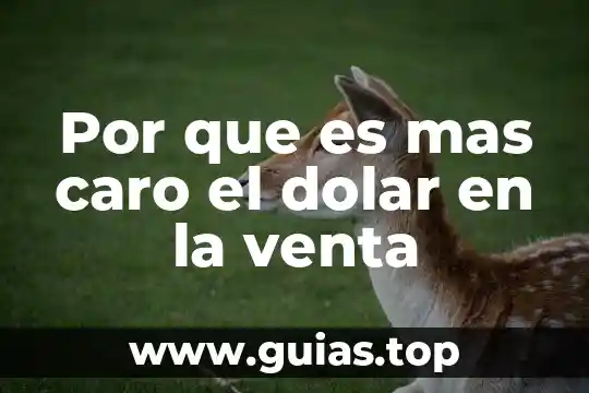 Stocks de venta que es 7 Por que es mas caro el dolar en la venta