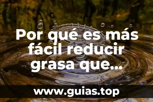 Por que es importante la grasa en el embarazo 3 Por qué es más fácil reducir grasa que carbohidratos
