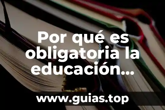 Qué es una señal analógica y digital libro 8 Por qué es obligatoria la educación básica