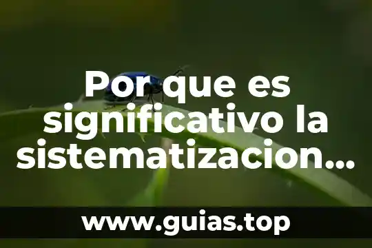 Que es un mensaje significativo 6 Por que es significativo la sistematizacion con enfoque construccionist