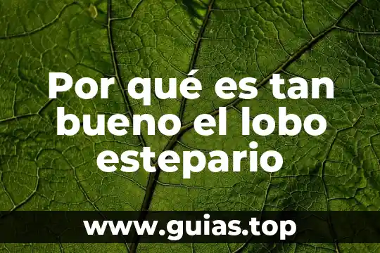 Wan tan frito que es 3 Por qué es tan bueno el lobo estepario
