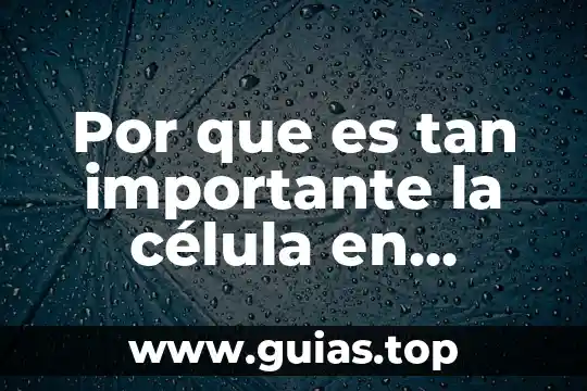 Mujeres en el sepulcro una historia que es nuestra 3 Por que es tan importante la célula en nuestra vida