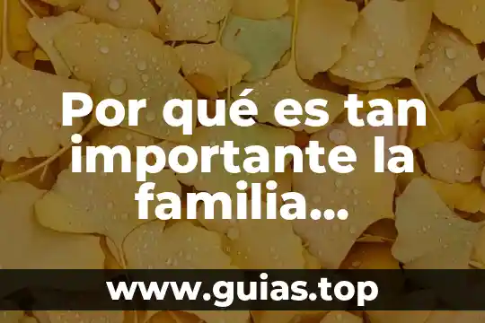Qué es la familia lógica TTL 4 Por qué es tan importante la familia jurídicamente