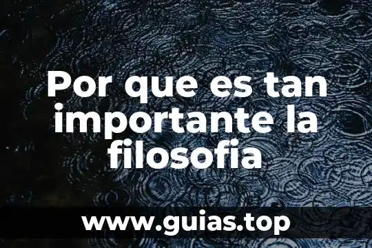Por qué es tan bueno el lobo estepario 3 Por que es tan importante la filosofia